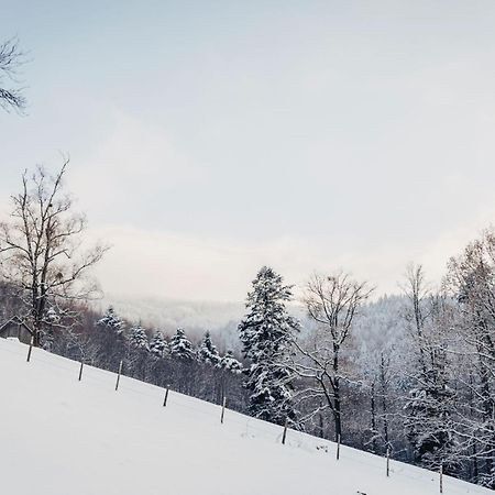 Waldjuwel Mostviertel Allhartsberg エクステリア 写真