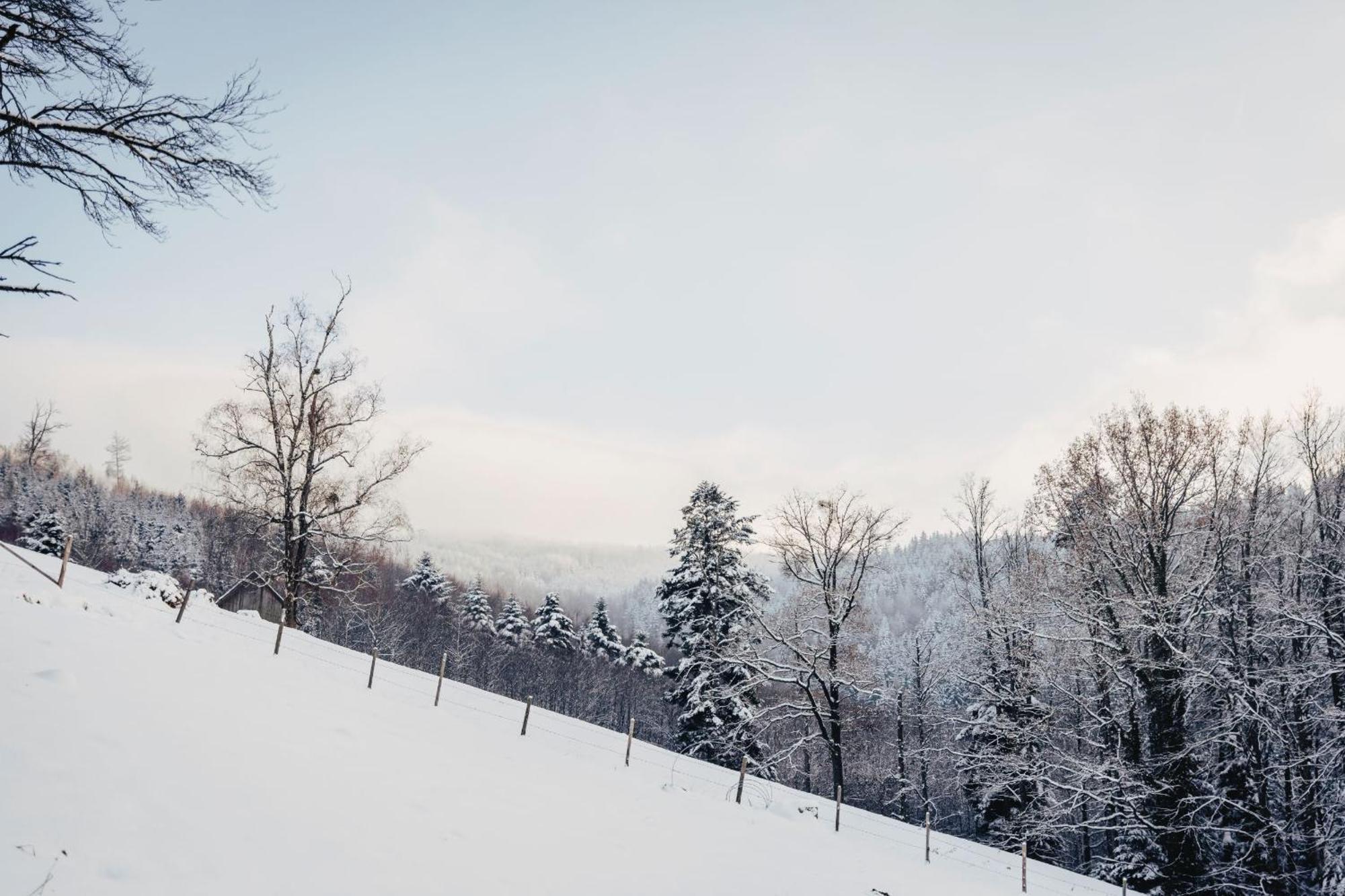 Waldjuwel Mostviertel Allhartsberg エクステリア 写真